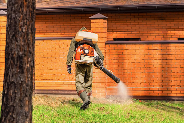 Top rated local Ant Control specialists in Pilot Mountain, NC